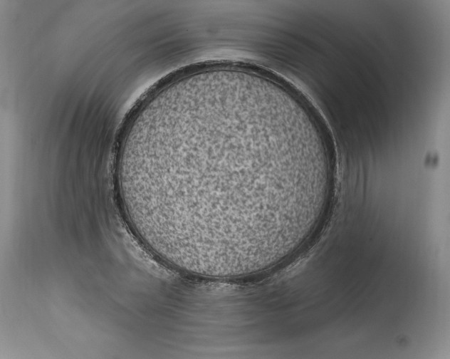 X0000114690783200911121517