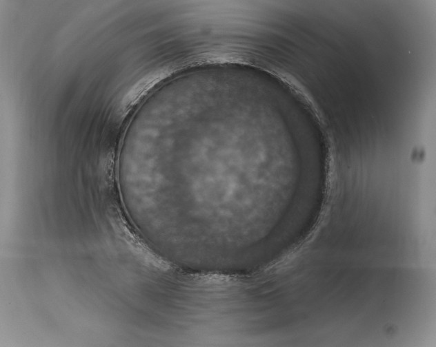 X0000114690785200911121517