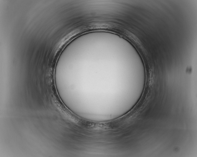 X0000114690786200911121517