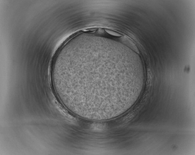 X0000114690788200911121517