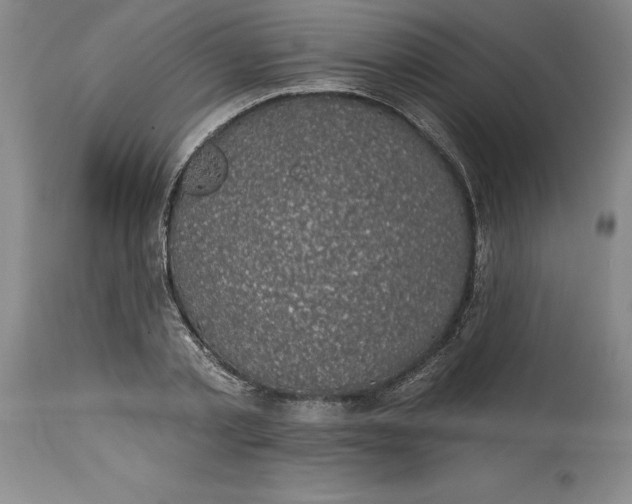 X0000114690789200911121517