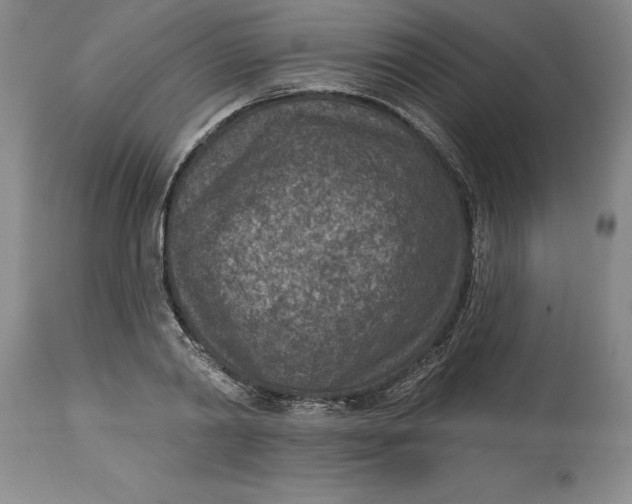 X0000114690790200911121517