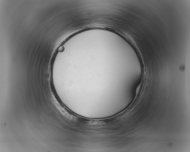 X0000114690795200911121517