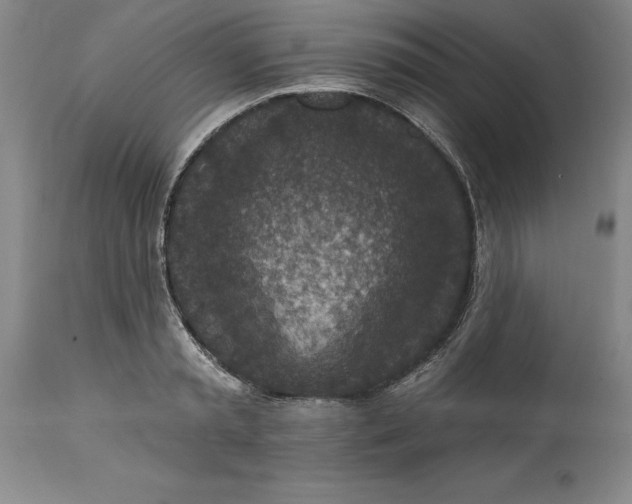 X0000114690797200911121517