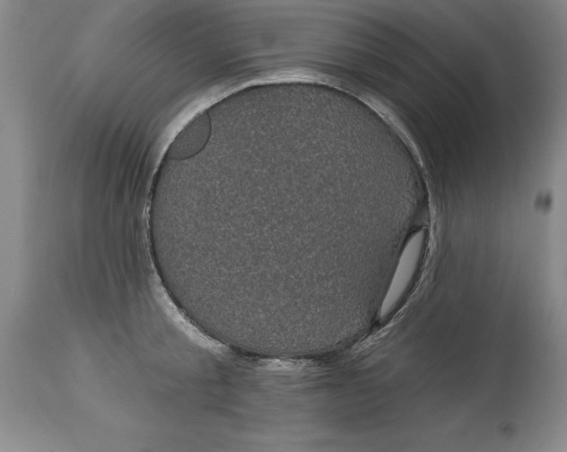 X0000114690805200911121517