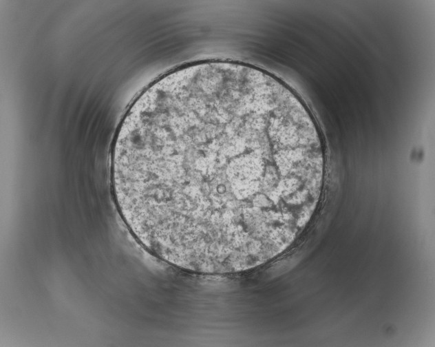 X0000114690807200911121517