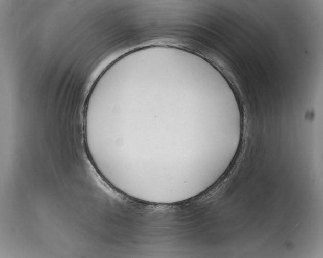 X0000114690808200911121517