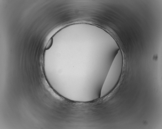 X0000114690812200911121517