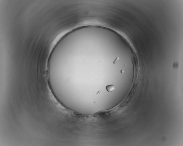 X0000114690815200911121517