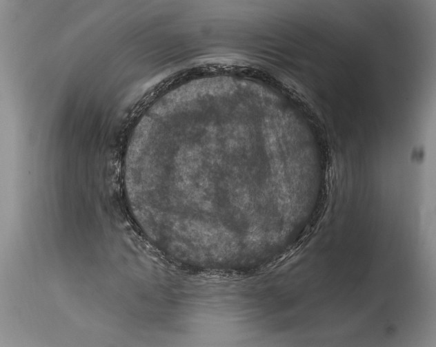 X0000114690822200911121516