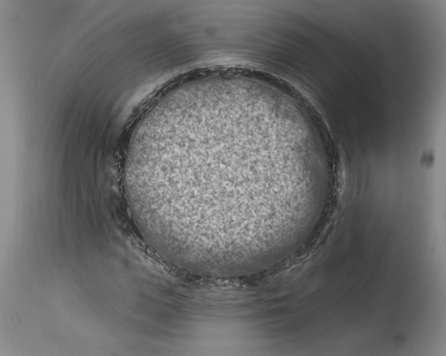 X0000114690823200911121516