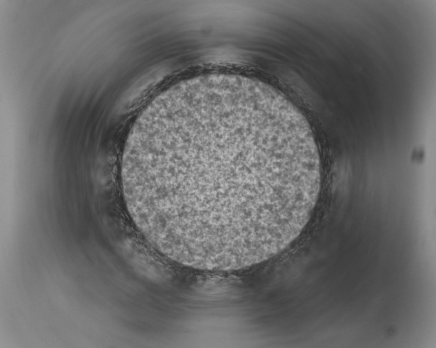 X0000114690824200911121516