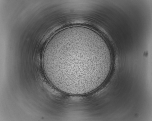 X0000114690825200911121516