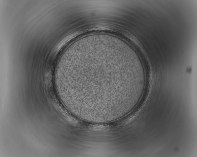 X0000114690826200911121516