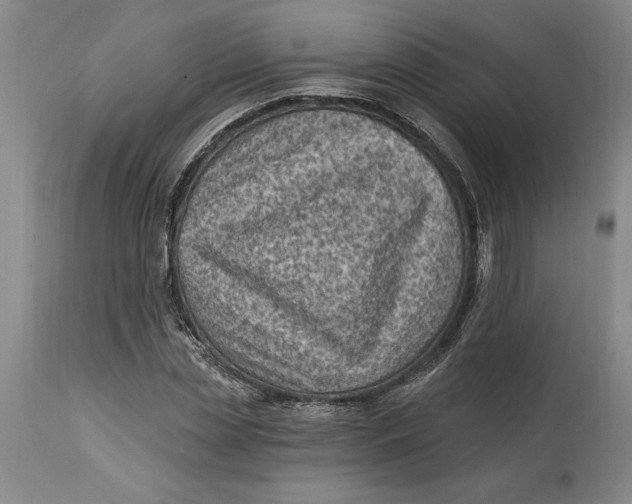 X0000114690829200911121516