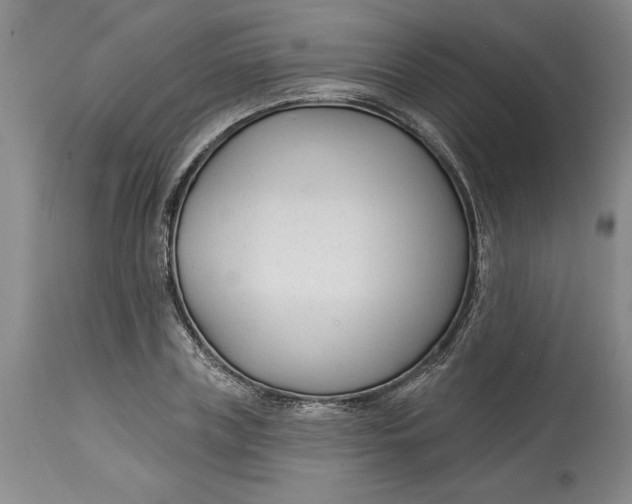 X0000114690835200911121516