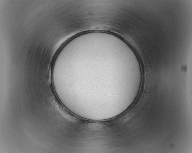 X0000114690838200911121516