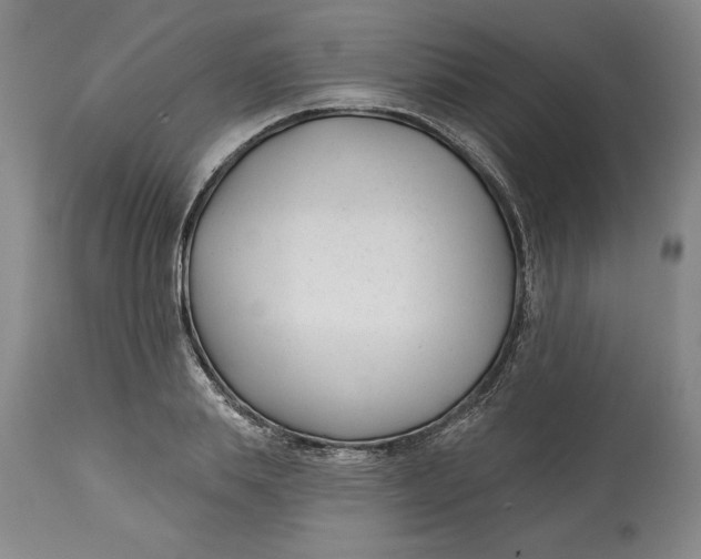 X0000114690839200911121516