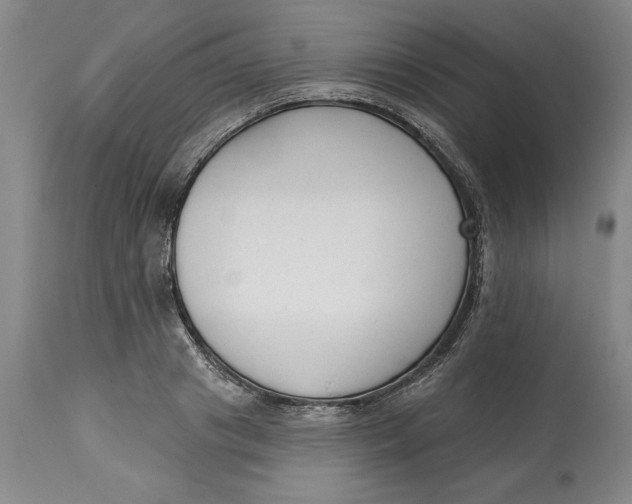 X0000114690841200911121517