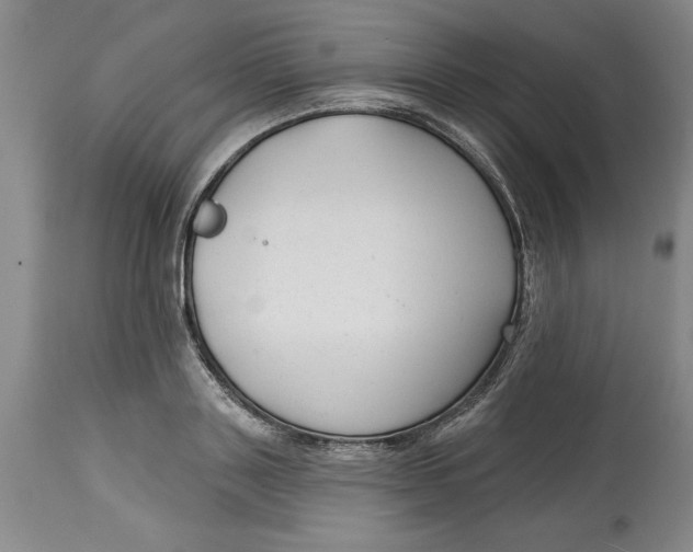 X0000114690843200911121517