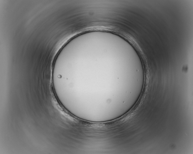 X0000114690844200911121517