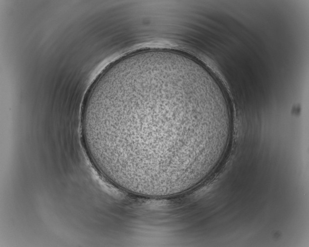 X0000114690845200911121517