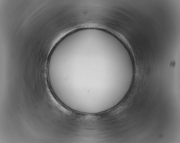 X0000114690847200911121517