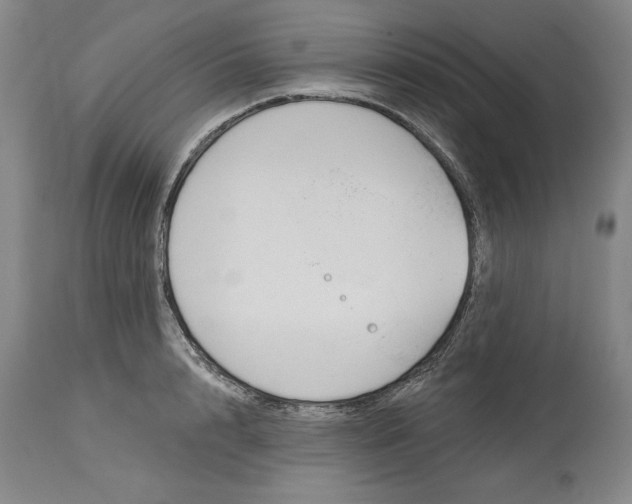 X0000114690848200911121517