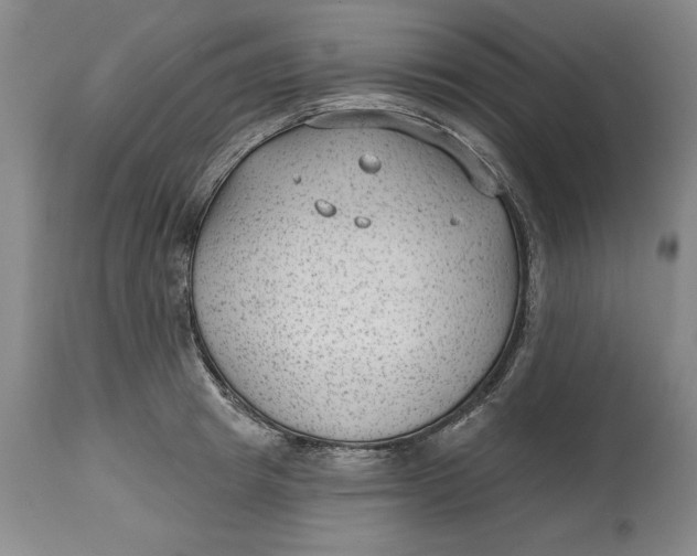 X0000114690849200911121517