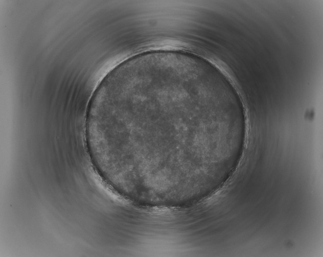 X0000114690850200911121517