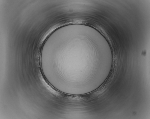 X0000114690851200911121517