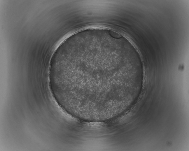 X0000114690853200911121517