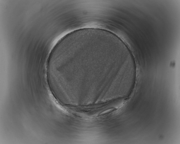 X0000114690854200911121517