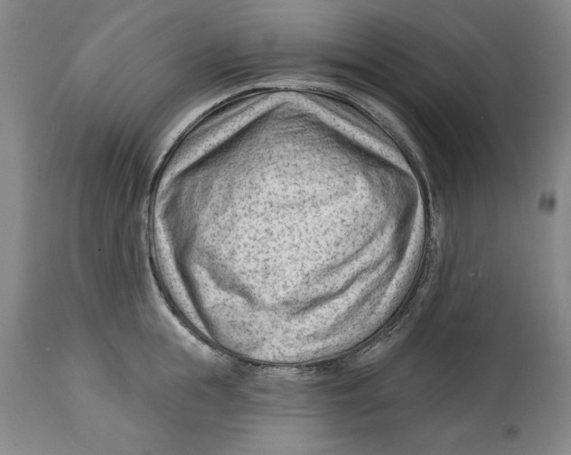 X0000114690855200911121517