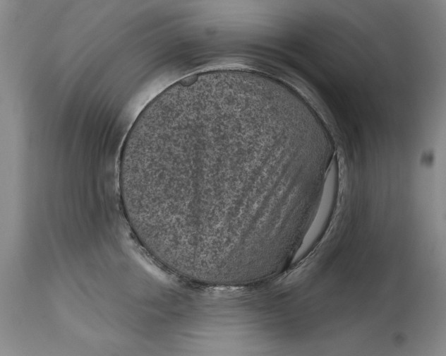 X0000114690858200911121517