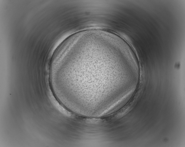 X0000114690859200911121517