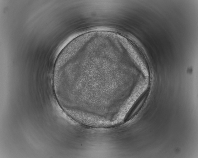 X0000114690860200911121517