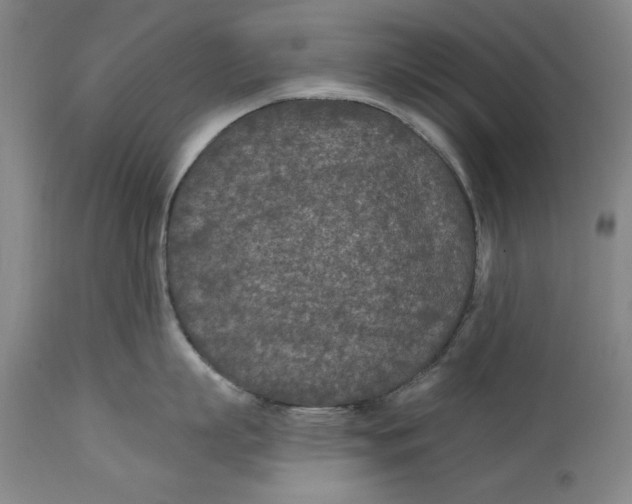 X0000114690863200911121517