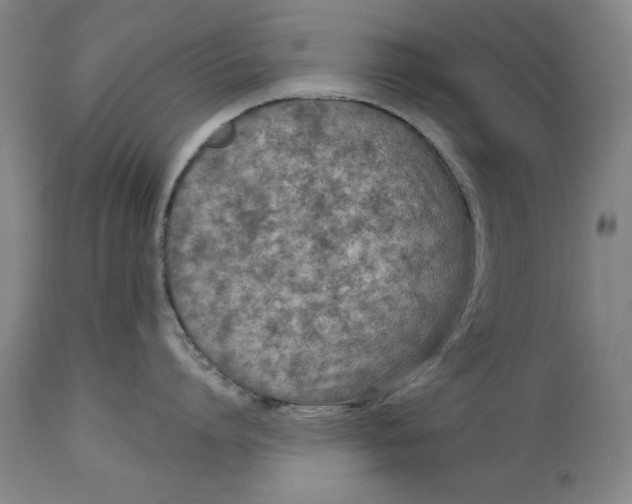 X0000114690864200911121517