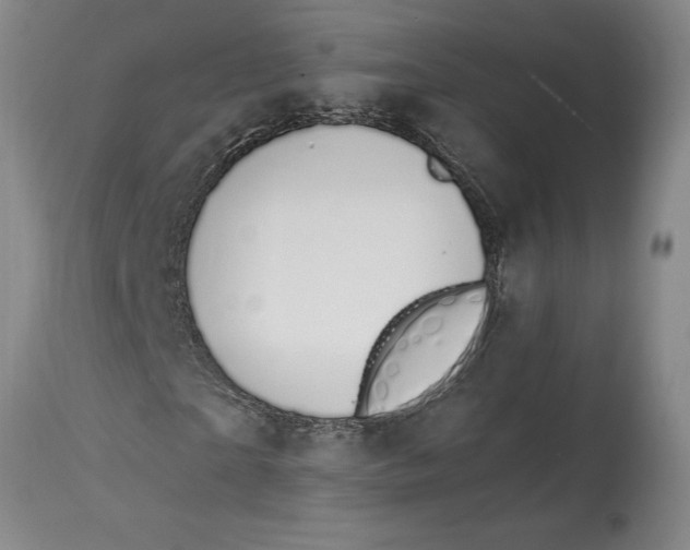 X0000114690865200911121516