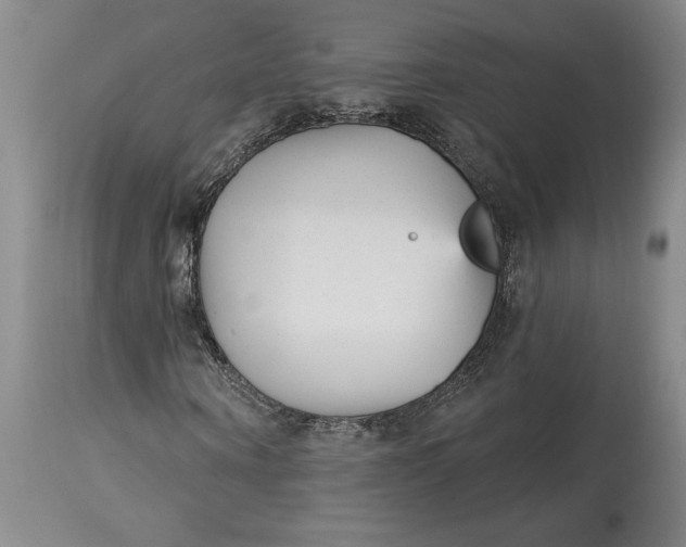 X0000114690866200911121516