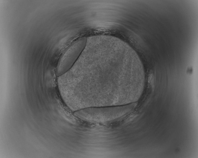 X0000114690868200911121516