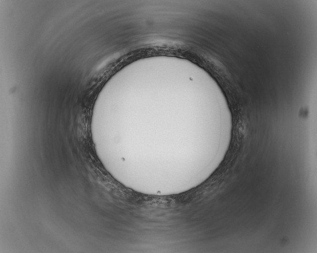 X0000114690869200911121516