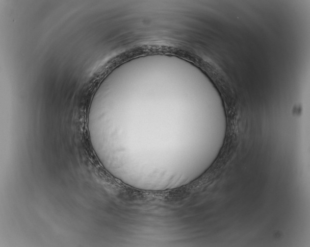 X0000114690870200911121516