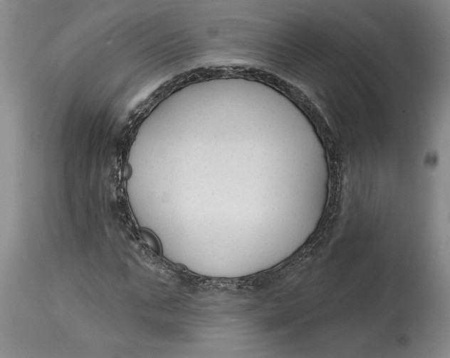 X0000114690871200911121516