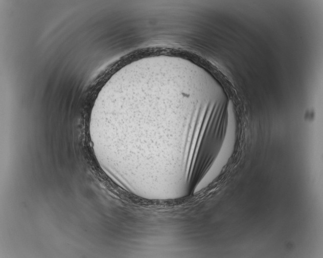 X0000114690872200911121516