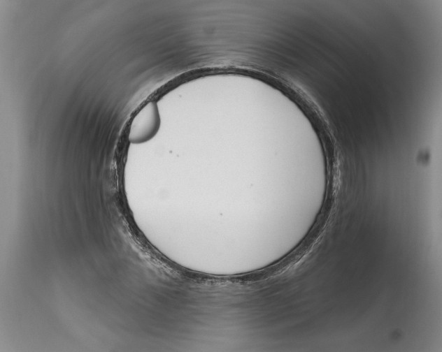 X0000114690876200911121516