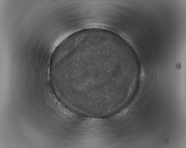 X0000114690877200911121516