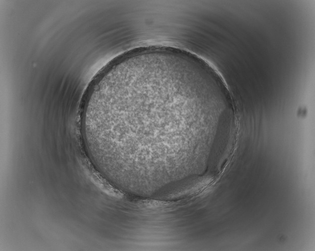 X0000114690879200911121516