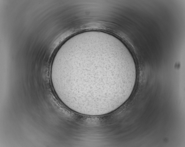 X0000114690882200911121516